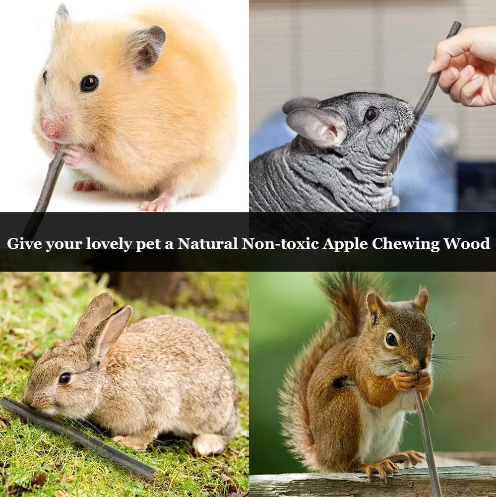 100% Natural Apple Branch Rabbit Chew Sticks Small Pet Chinchillas Netherlands Pig Hamster Bite Molars Clean Teeth Wooden Toys