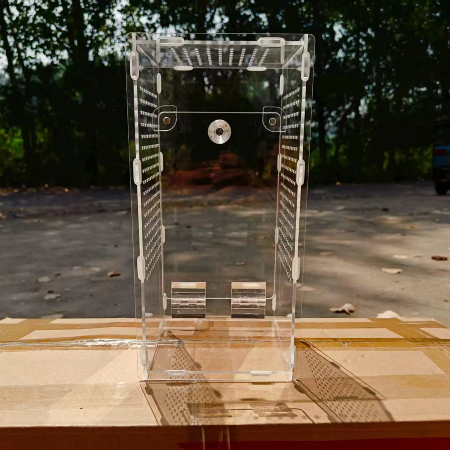Acrylic Mantises Terrarium Clear Reptile Cage Vertical Habitat Container for Spiders and Pets