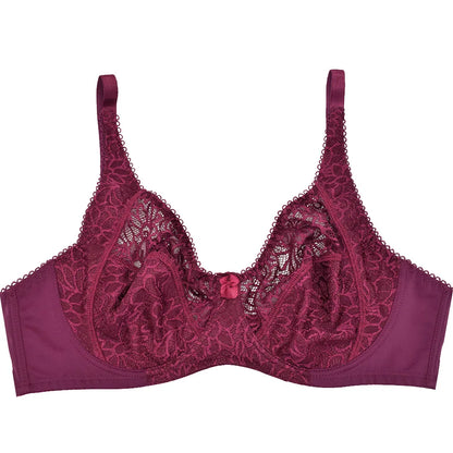 Plus Size Bras For Womens Lace Sexy Bra Perspective Underwire Female Lingerie BH Tops C D DD E F Cup