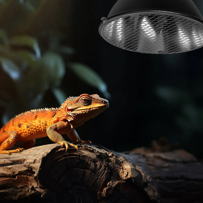 3Pcs Reptile Heat Lamp Guard Mesh Cover Metal Cage Protector Anti-Scald Iron Mesh Shield for Tank Enclosure Safety