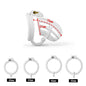 BDSM Chastity Cage 4 Size Ring Penis Cage Device Femdom Restraint Penis Lock Breathable Urethral Lock Bondage Device for Men