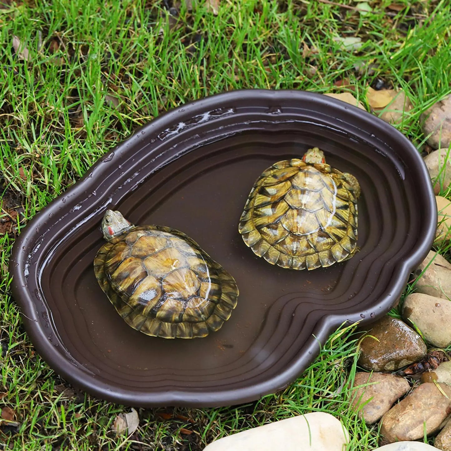 Reptile Feeding Dish Reptile Feeding Water Bowl Turtle Water Bowl Reptile Bathing Pool for Semi Aquatic Chameleon Gecko Rest