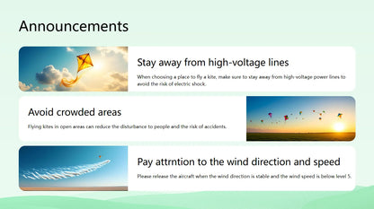 Outdoor Fun Large Delta Kites with 100m Handle Line Flying Toys for Children Kites Outdoor Sports Kites Professional Wind Kites