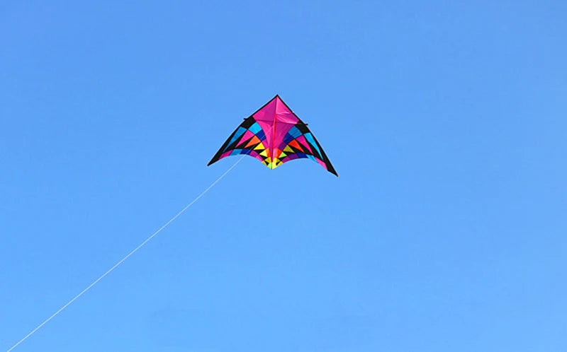 Free shipping large delta kites professional for adults kites flying toys sport kites windsurfing show kites fried flight kites