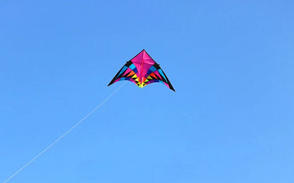 Free shipping large delta kites professional for adults kites flying toys sport kites windsurfing show kites fried flight kites