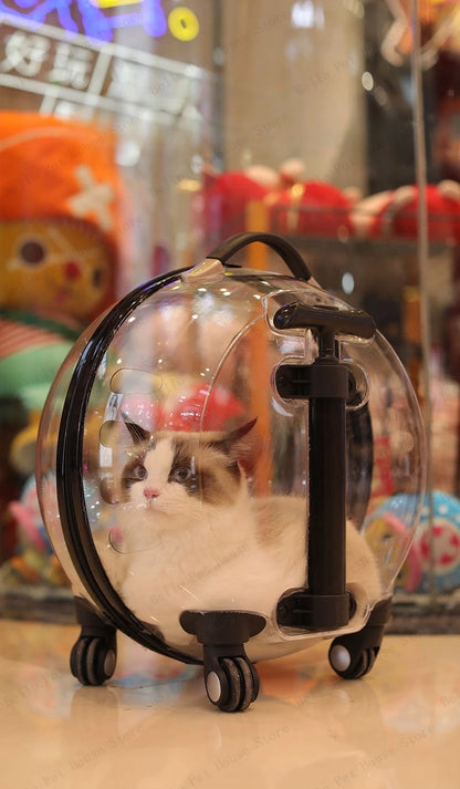Portable Cat Bag for Going Out Large Capacity Transparent Breathable Pet Trolley Case Cat Travel Bag Pet Supplies Cat nest