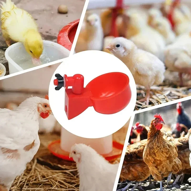 5-50Pcs Automatic Chicken Waterer Bird Feeder Poultry Farm Drinking Bowl for Chicken Duck Goose Drinking Water Farm Supplies