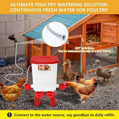 Chicken Drinking Bowl Drinking Water Quail Poultry Automatic Water Dispenser Duck and Pigeon Free Range Chicken Farm Supplies