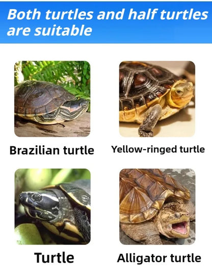 Oxygenate Turtle Terrariums Fliter Cultivation Turnover Box Multifunctional Large Space Fliter Box Turtle Fish Ecological Tank