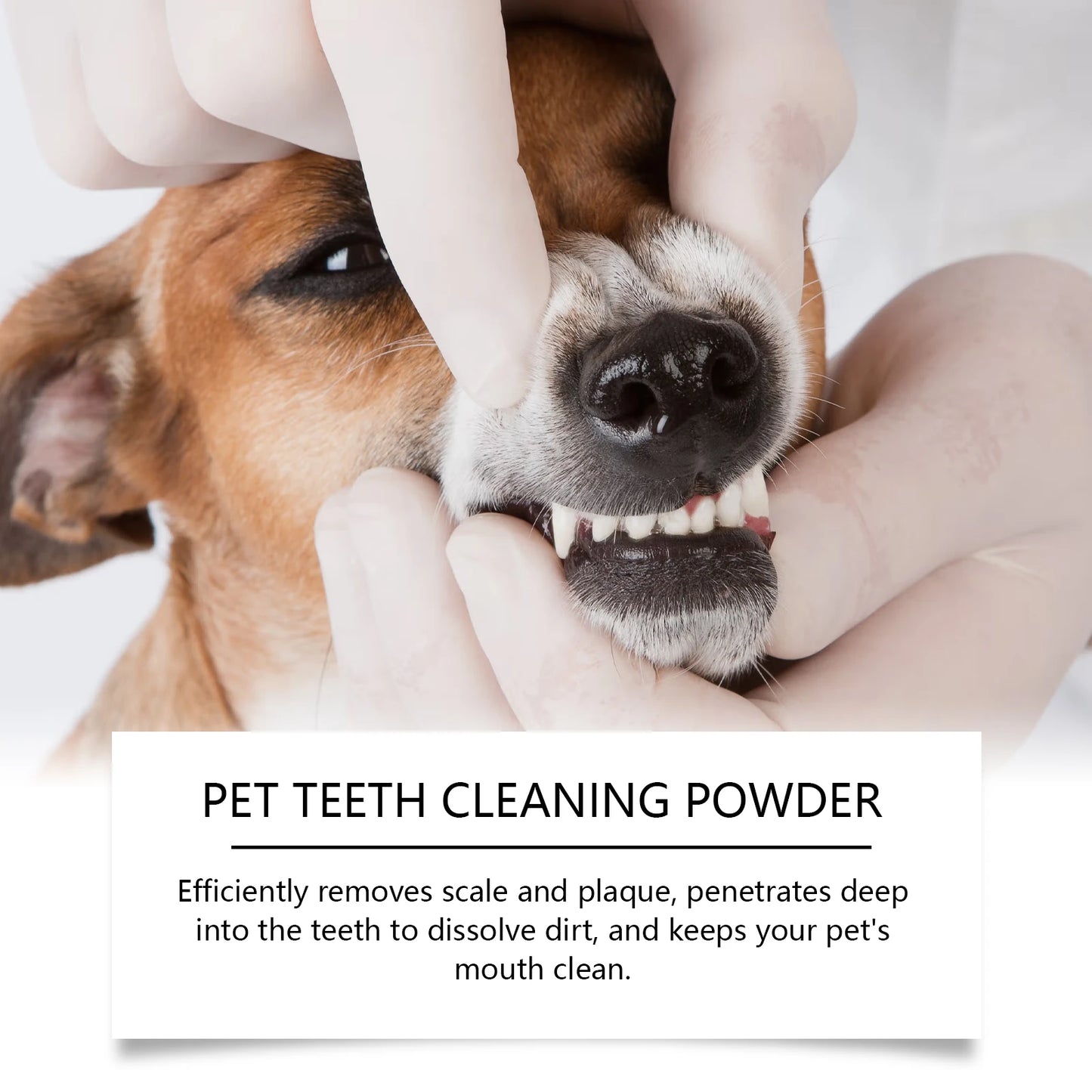 Pet Teeth Cleaning Powder for Cats Dogs Reduce Tartar Plaque Deep Clean Surface Dirt Keep Fresh Breath Oral Grooming Supplies