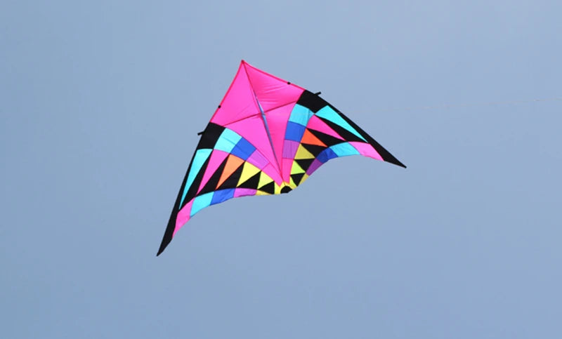 Free shipping large delta kites professional for adults kites flying toys sport kites windsurfing show kites fried flight kites
