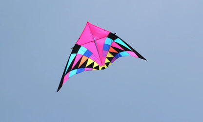 Free shipping large delta kites professional for adults kites flying toys sport kites windsurfing show kites fried flight kites
