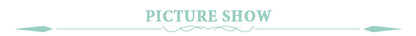 Reptile Rainforest Misting Spray System Greenhouse Humidification Cooling Nebulizer Irrigation Tools Terrarium Spraying Device