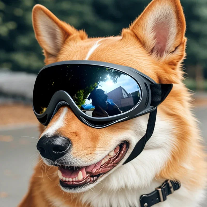 Wind Resistant Waterproof Pet Eye Protection Goggles Lightweight Cute Decor Glasses for Dogs & Maine Coon Cats Bike Car Travel