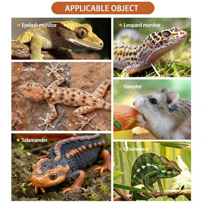 Reptile Water Dispenser Automatic Detachable Anti Drowning And Anti Evaporation Automatic Water Dispenser For Geckos Lizards