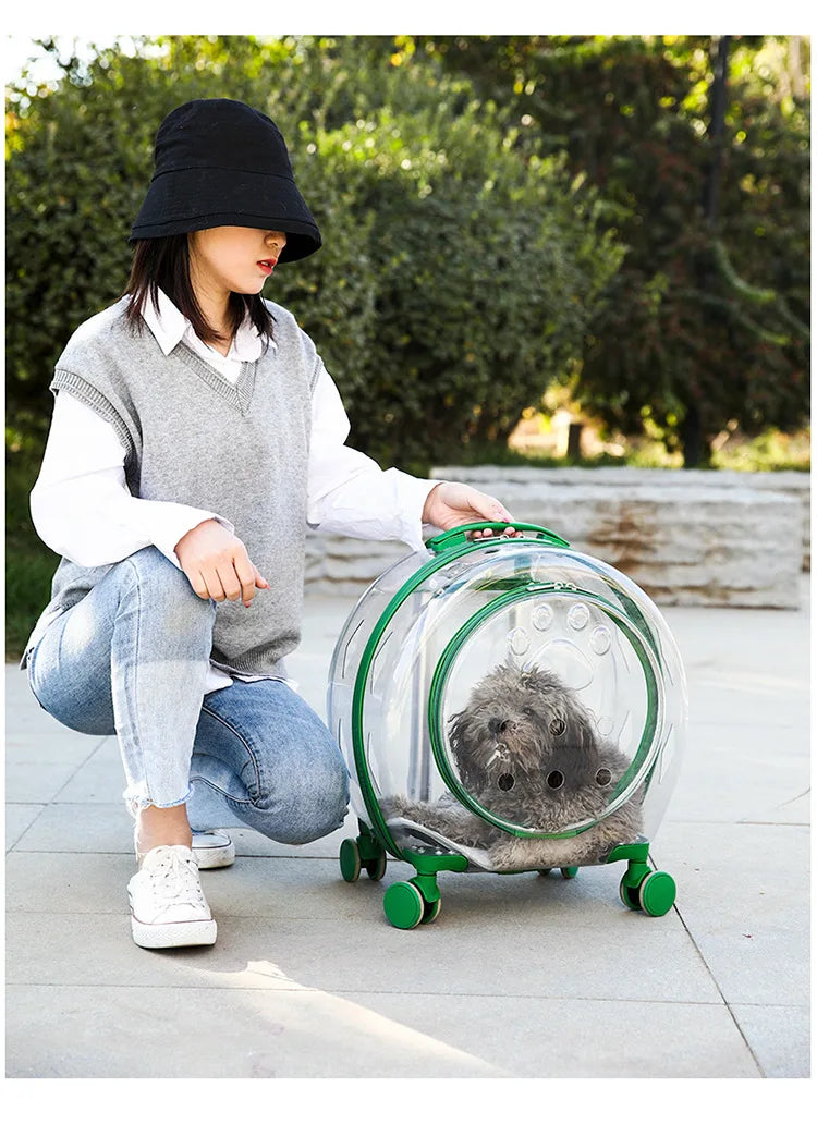 pet trolley case portable dog going out transparent trolley bag large capacity two cats