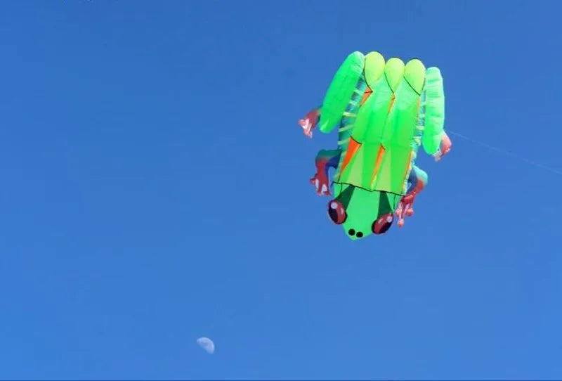 Frog kite cometas profesionales kite flying cerf volant gonflable outdoor games aquilone acrobatico vlieger haspel parplan pipa