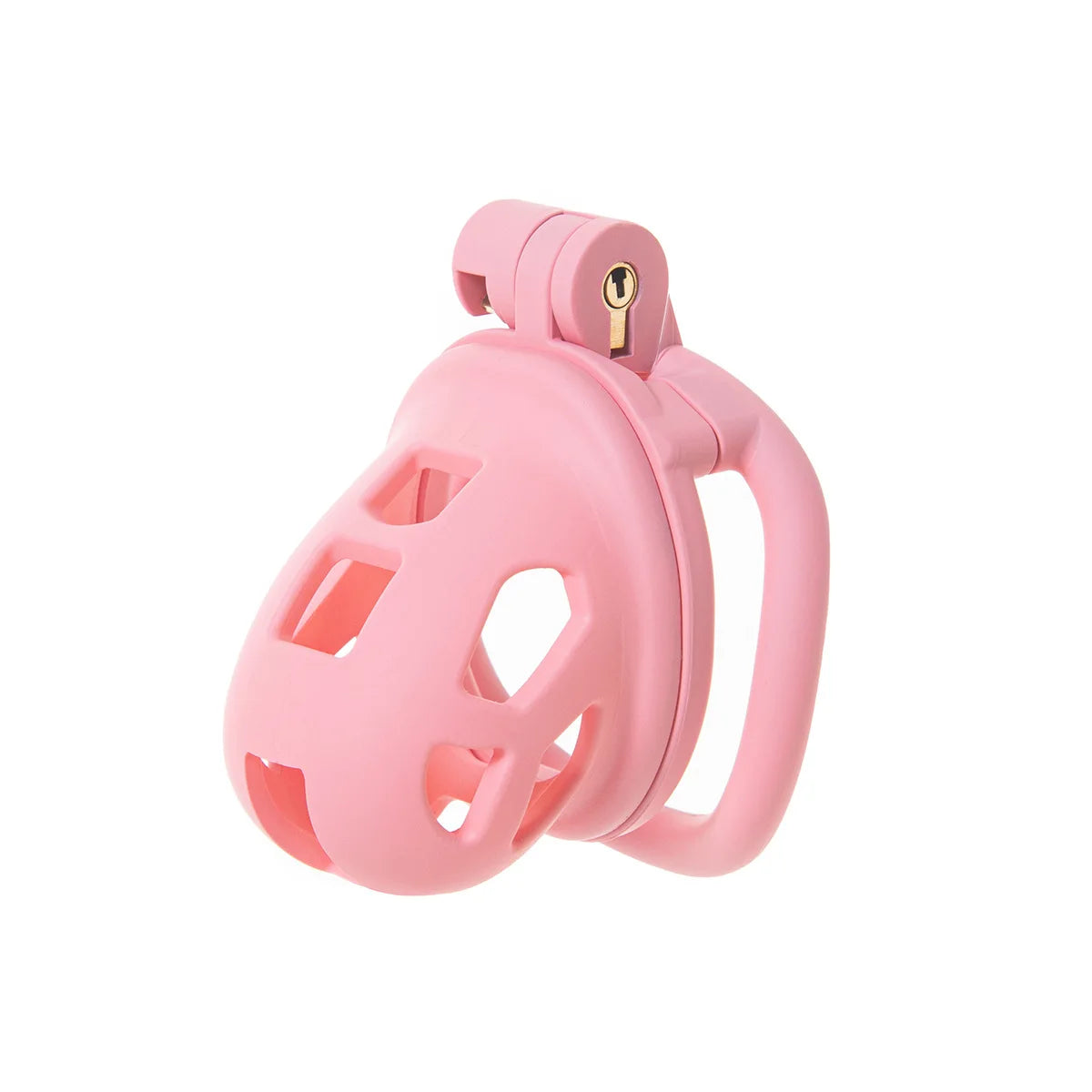 2026 New Chastity Lock Cage SM Flirting Breathable Resin Male Virginity Device Fetish Male Penis Lock with 4 Rings