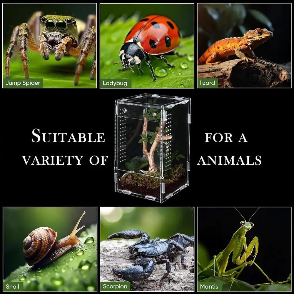 1pc Acrylic Transparent Reptile Breeding Box Amphibian Cage Nano Arboreal Tarantula Enclosure Jumping Spider Reptiles Habitat