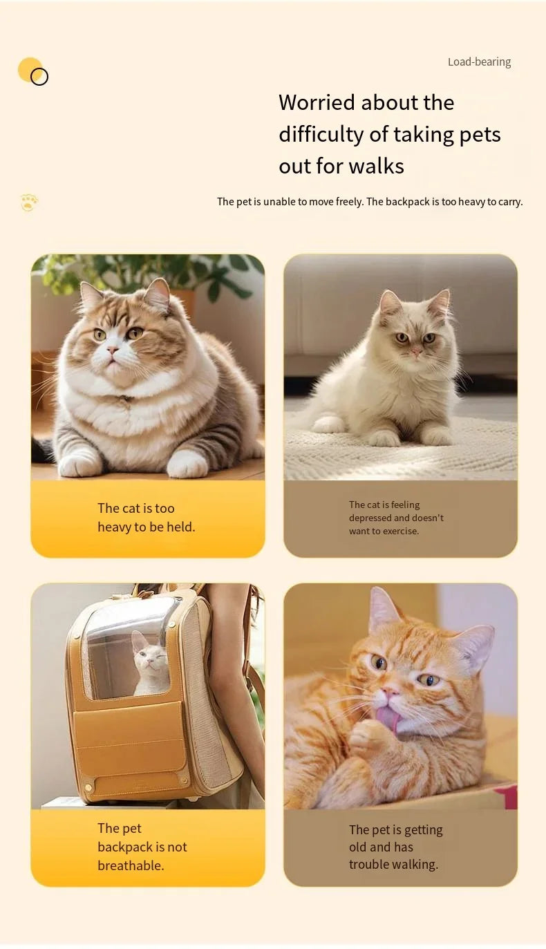 Large Capacity Mesh Breathable Pet Bag Outdoor Portable Cat Backpack Breathable Mesh Pet Travel Carrier Cats Daily Outdoor Use
