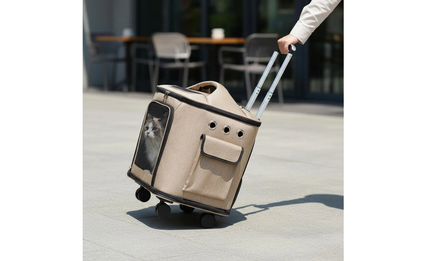 Rolling Pet Carrier Quiet Wheels Feline Carrier Suitcase Feline Travel Bag Large Capacity Portable for Outdoor