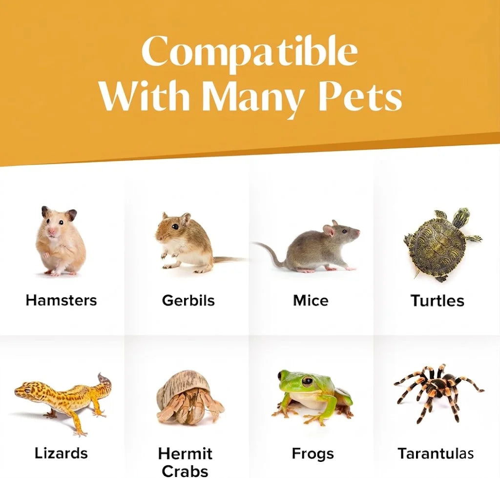 MIRAVEXL Shell-Free High-Protein No-Hatch Shrimp-Based Diet for Reptiles & Fry, Feed for Lizards, Turtles & Amphibian Pets