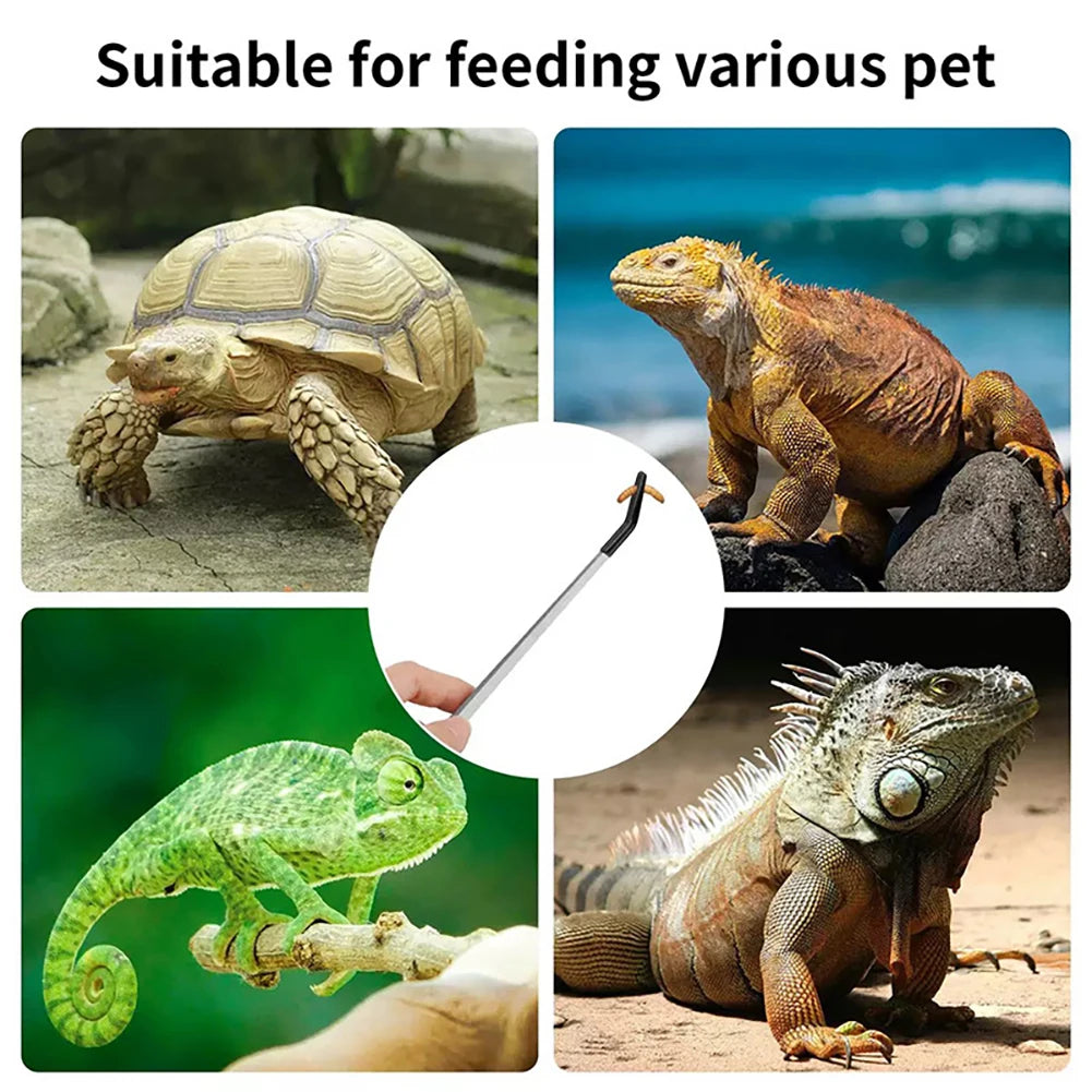 Stainless Steel Reptile Feeding Tongs with Rubber Tips - Straight & Curved Aquarium Pet Tweezers for Safe And Easy Feeding