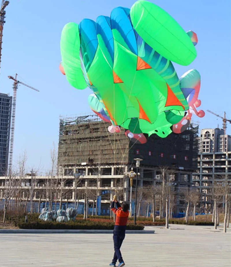 Frog kite cometas profesionales kite flying cerf volant gonflable outdoor games aquilone acrobatico vlieger haspel parplan pipa