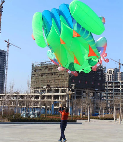 Frog kite cometas profesionales kite flying cerf volant gonflable outdoor games aquilone acrobatico vlieger haspel parplan pipa