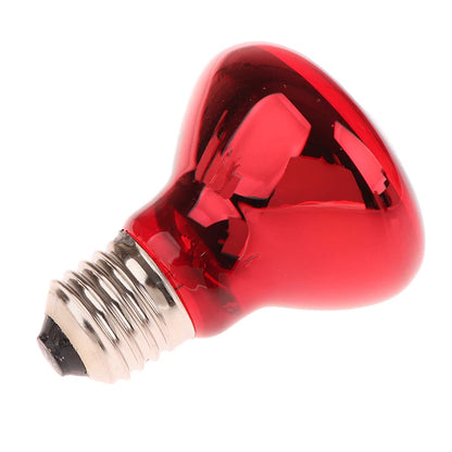 25/40/50/60/75/100W E27 UVA Poultry Bulb Infrared Night Light Day Poultry Heating Bulb For Plants Amphibians Reptile Pets