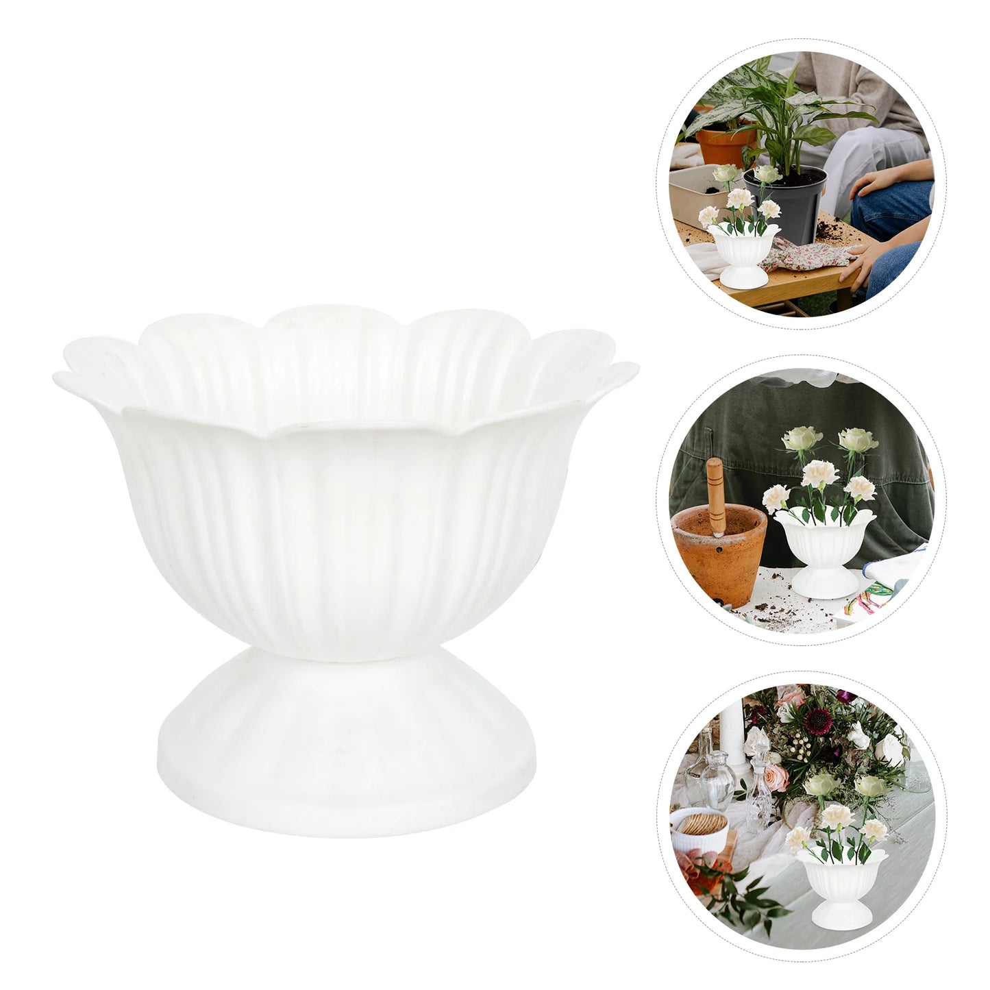 24 Pcs Reptile Water Dish Terrarium Bowl Mini Food Crawler Feeding Sink Lizard Pet Water Bowl Drinking Container Pet Drink Bowls