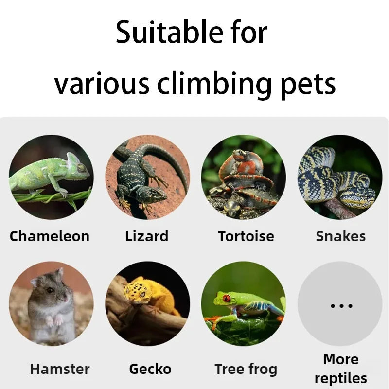 Reptile Terrarium Tall Landscape Ecological Tank Metal Mesh Door Breeding Cage Front Opening Reptile Rainforest Habitats