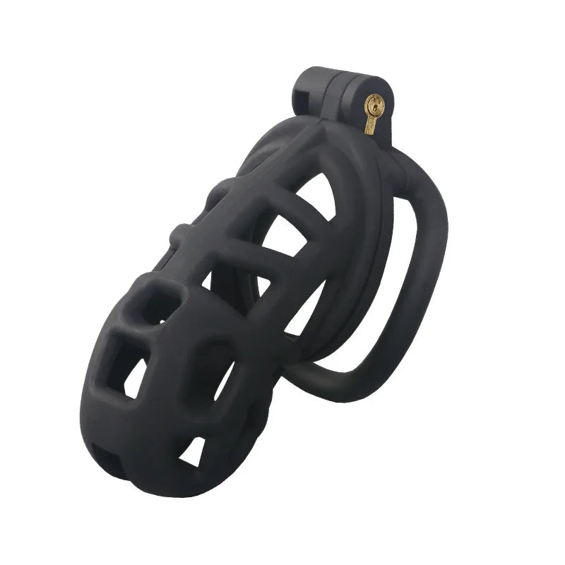 2026 New Chastity Lock Cage SM Flirting Breathable Resin Male Virginity Device Fetish Male Penis Lock with 4 Rings