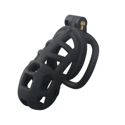 2026 New Chastity Lock Cage SM Flirting Breathable Resin Male Virginity Device Fetish Male Penis Lock with 4 Rings