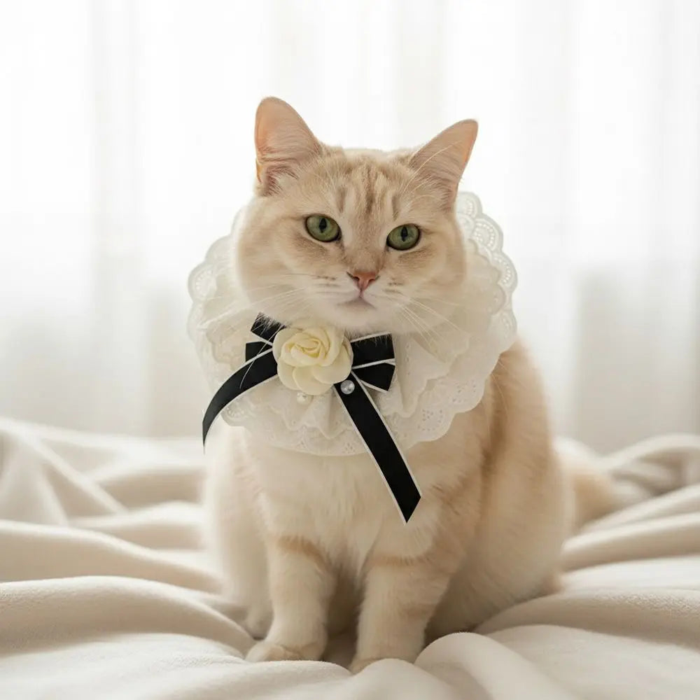 Elegant Design Pearl Pet Collar Lace Collar Princess Style Pet Bow Accessories Headgear Silk Material Bowtie Wedding Ceremony