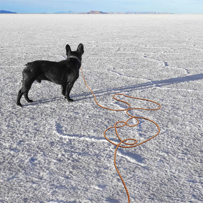 Dog Training Lead, Long Dog Lead 1.5M/2M/3M, Long Rope with Padded Handle for Small, Medium/Large Dog