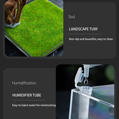 Reptile Hatching Box Reptile Terrariums Enclosure Accessories Amphibian Supplies Feeding Spider Cage Feeding Container For