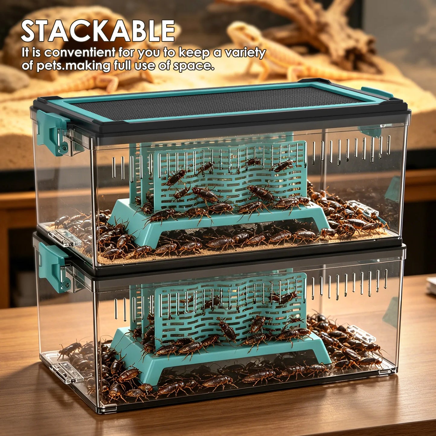 Live Feed Box Set for Bearded Dragons and Chameleons, Suitable for Raising Dubia Roaches and as a Small Reptile Enclosure