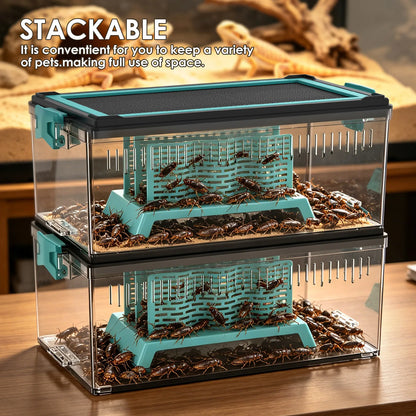 Live Feed Box Set for Bearded Dragons and Chameleons, Suitable for Raising Dubia Roaches and as a Small Reptile Enclosure