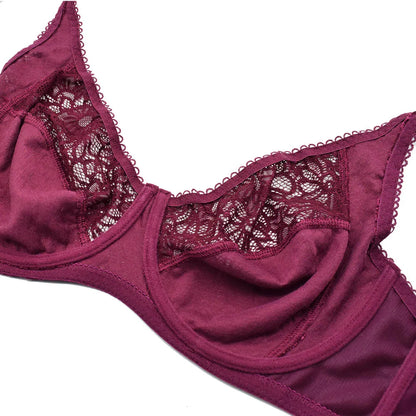 Plus Size Bras For Womens Lace Sexy Bra Perspective Underwire Female Lingerie BH Tops C D DD E F Cup