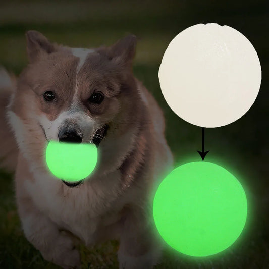 2PCS Dog Chew Toys Ball - Glow in The Dark, Durable for Teething, Pet Molar Toy To Relieve Boredom, Puppy Chew Supplies