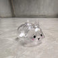 (HB05)Cartoon Pet Hair Memorial Transparent Storage Box Keyring Animal Rabbit Fur Organizer Keychain Bag Pendant Pet Souvenir