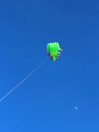 Frog kite cometas profesionales kite flying cerf volant gonflable outdoor games aquilone acrobatico vlieger haspel parplan pipa
