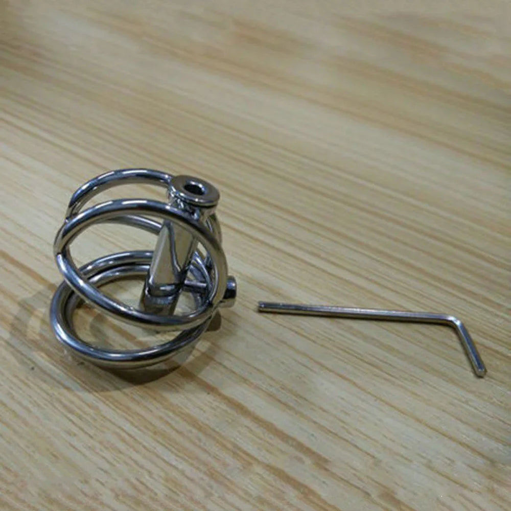 Steel Prince Albert Chastity Cage Male Urethral BDSM Bondage Unique Design Metal Cock Cage Men Cbt Lock Chastity Device
