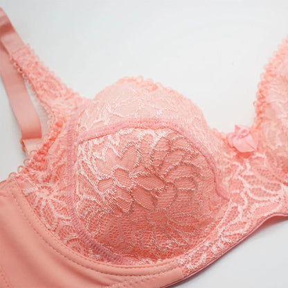 Plus Size Bras For Womens Lace Sexy Bra Perspective Underwire Female Lingerie BH Tops C D DD E F Cup