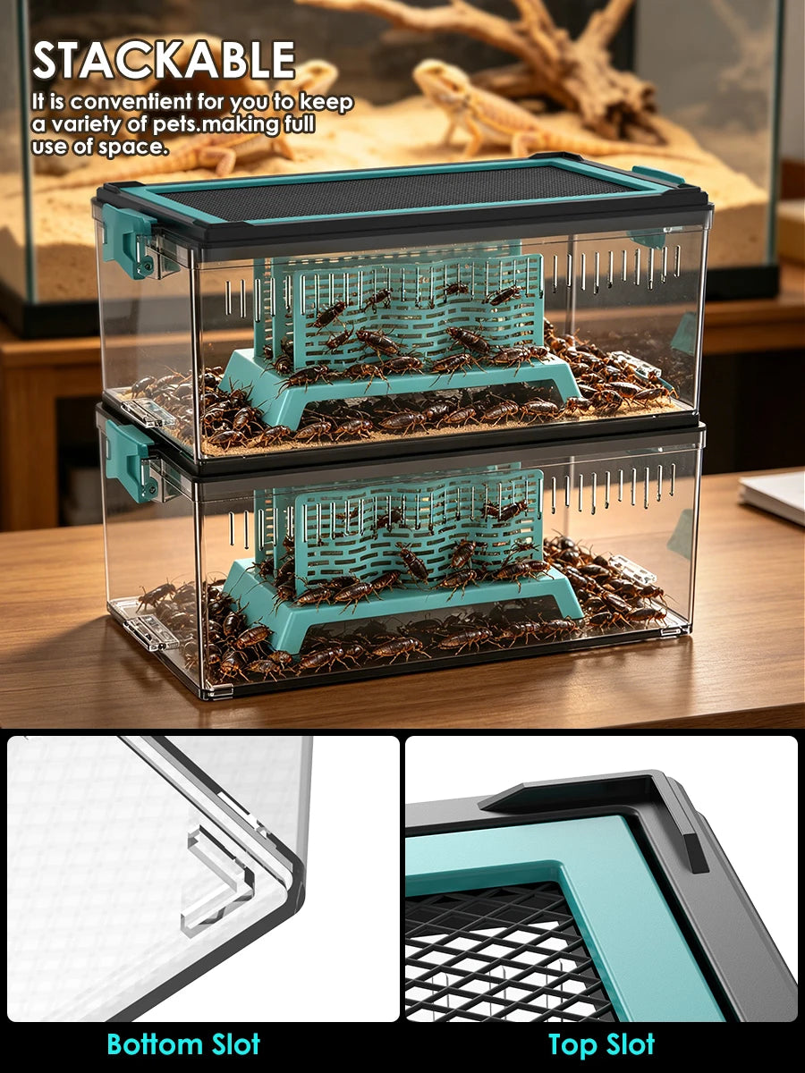 Live Feed Box Set for Bearded Dragons and Chameleons, Suitable for Raising Dubia Roaches and as a Small Reptile Enclosure