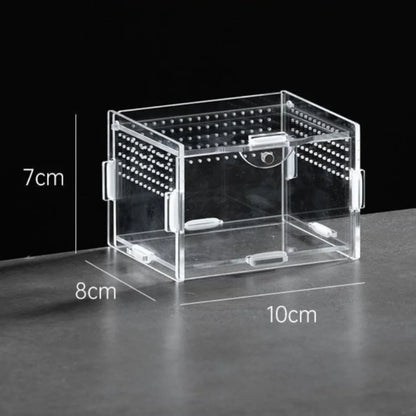 Durable Acrylic Reptile Habitat Anti-Escape Multiple Size Spider Feeding Case Clear Arboreal Lizard Breeding Box for Chameleon