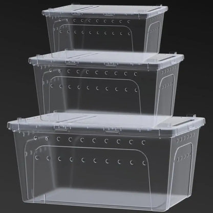Hot Sale Clear Plastic Reptile Terrarium Ventilated Breeding Box For Lizards Snakes And Small Pets