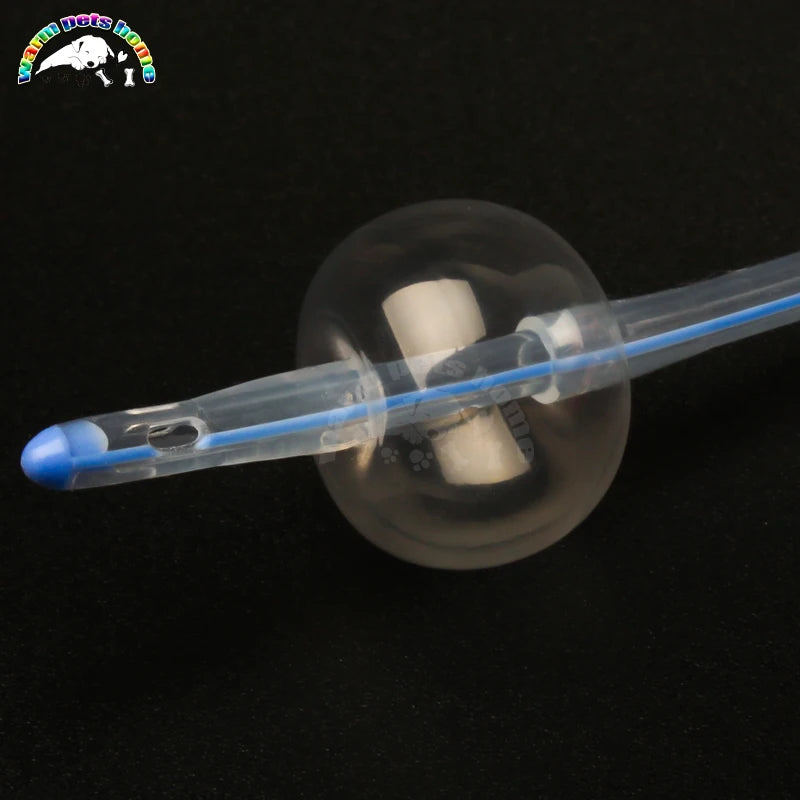 10PCS Medical 2-Way Silicone Foley Catheter Cannula 6Fr 8Fr 10Fr Canine Dog Urinary Catheter Veterinary Consumables