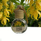 10ml car air freshener, air purifier, long-lasting fragrance, one bottle lasts 180 days.A great gift option.